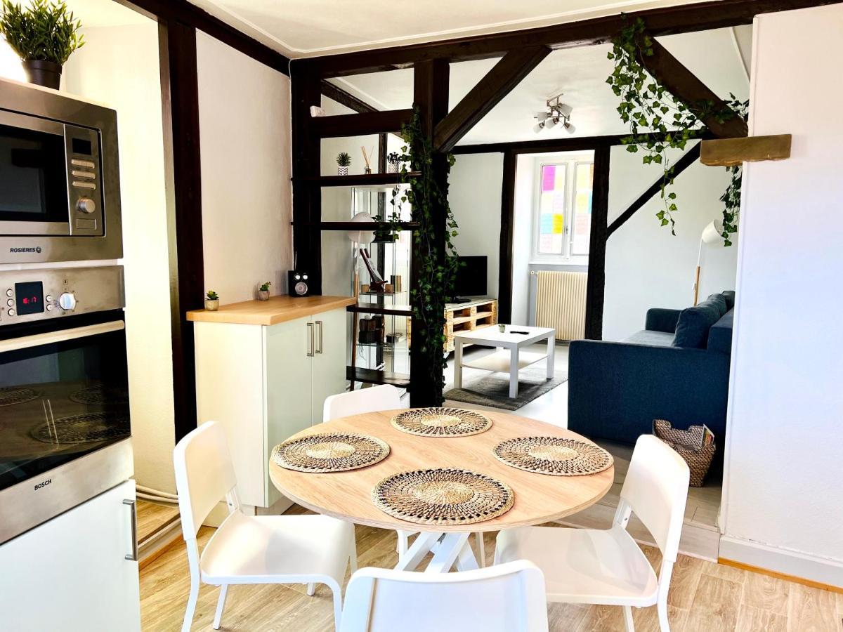 קולמר Seppala Charmant Appartement מראה חיצוני תמונה