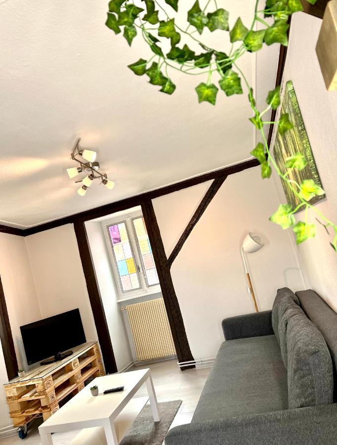 קולמר Seppala Charmant Appartement מראה חיצוני תמונה