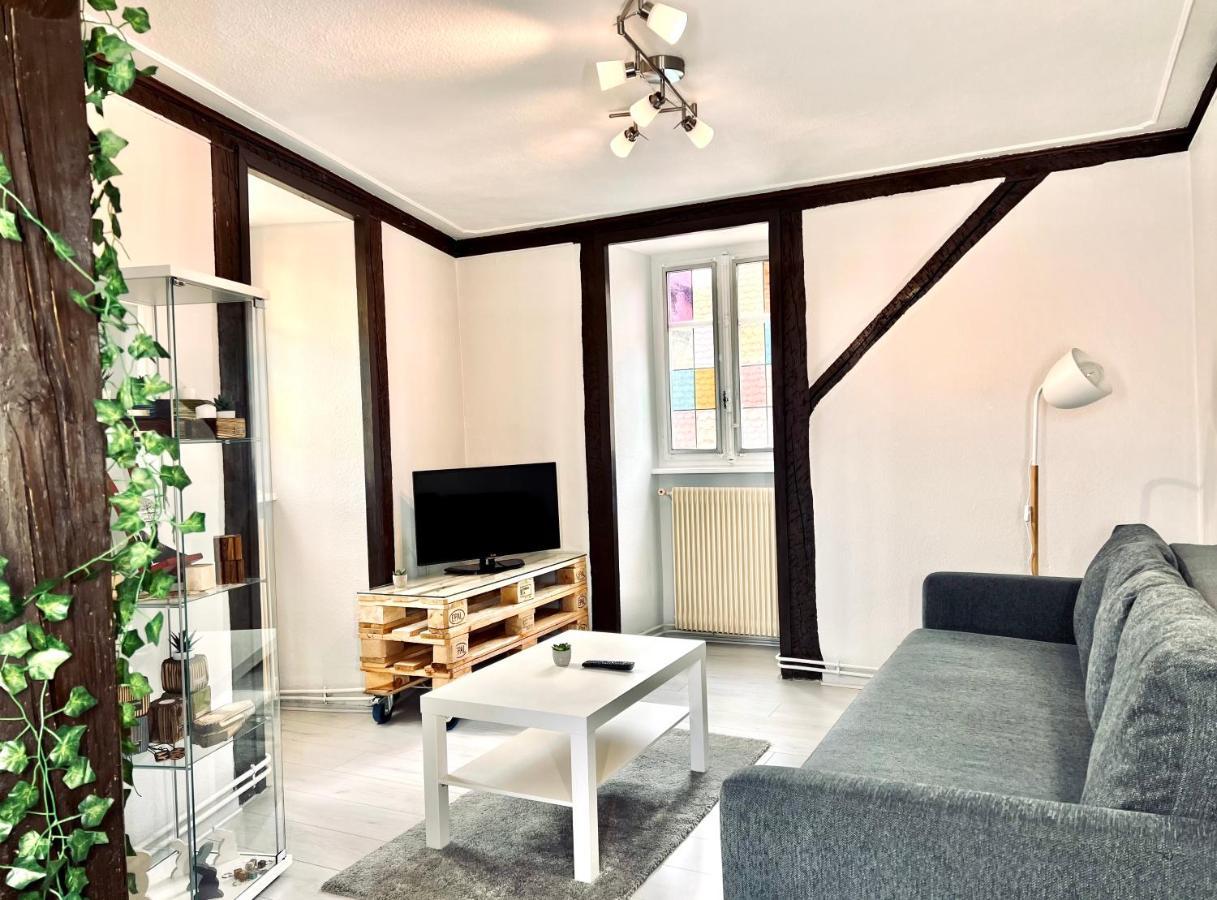 קולמר Seppala Charmant Appartement מראה חיצוני תמונה