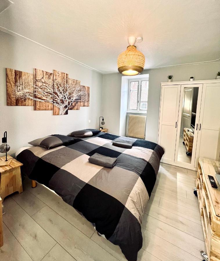 קולמר Seppala Charmant Appartement מראה חיצוני תמונה